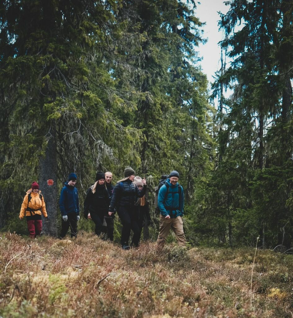 Guidad vandring i Urskog